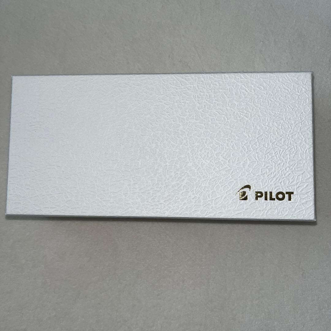 PILOT 万年筆 カスタム845 FKV-5MR 細字