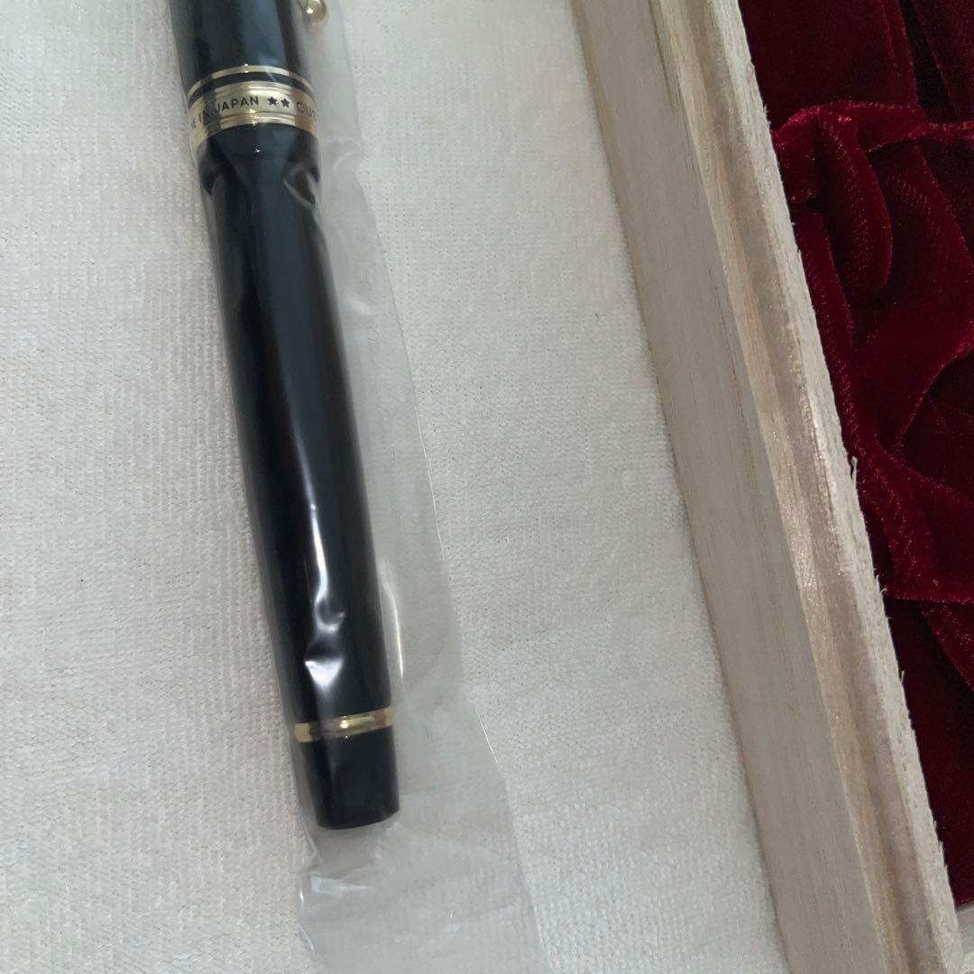 PILOT 万年筆 カスタム845 FKV-5MR 細字