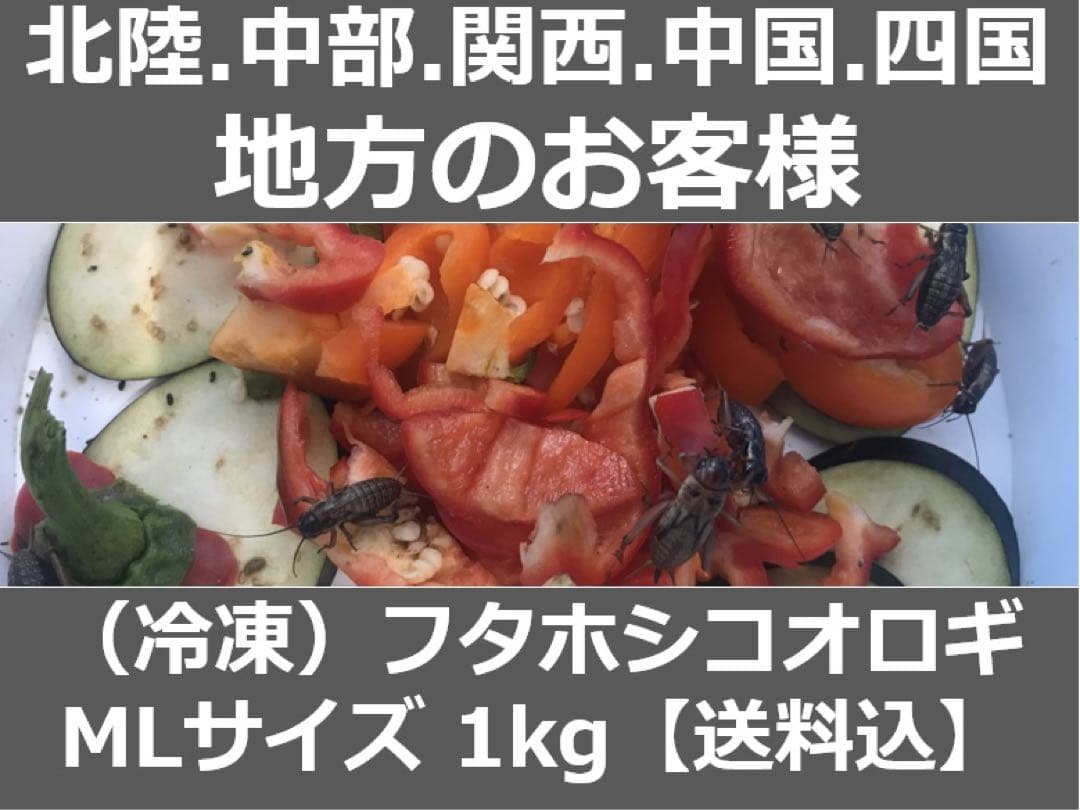 ★合鴨なつお君商品★1kg冷凍コオロギ M・Lサイズフタホシコオロギ