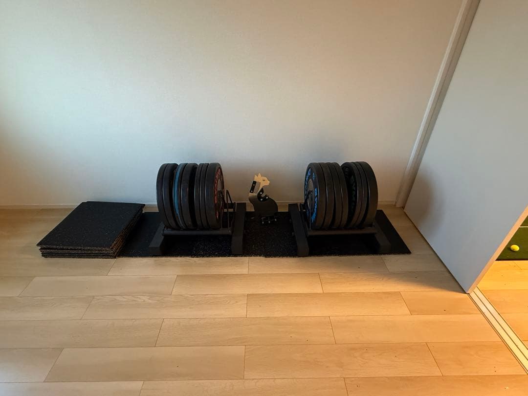 【引取限定】GYMWAY（ジムウェイ）社製薄型トレーニングバンパープレートセット