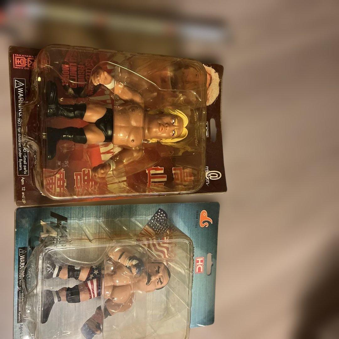 PRIDE超激レア・最終入荷高山善廣 × ドン・フライ 伝説プロレス　完品美品