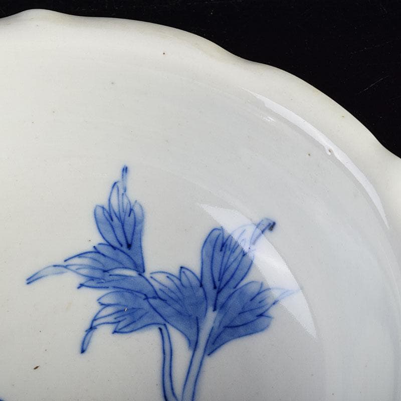 瀬戸焼　古瀬戸　染付　花蝶文　饂飩皿　六客　時代箱付　C　R9353B