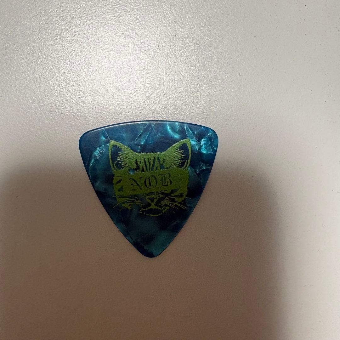 MY FIRST STORY ピック（TERU.NOBU)