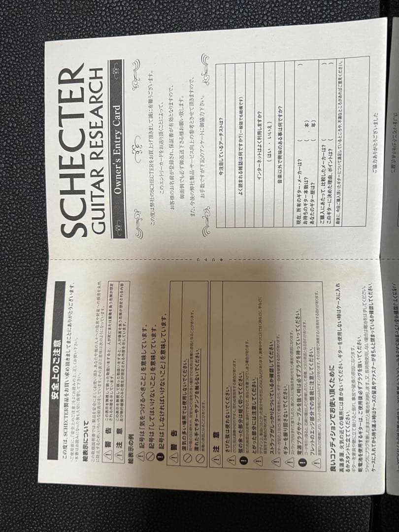 Schecter Diamond Series美品10月から出張に行くので値下げ