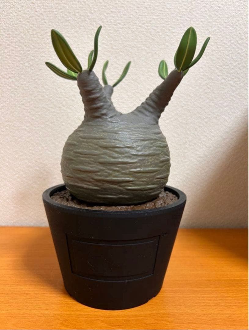 ボタナイズ メディコムトイ フィギュアbotanize 初期　VCD 1st