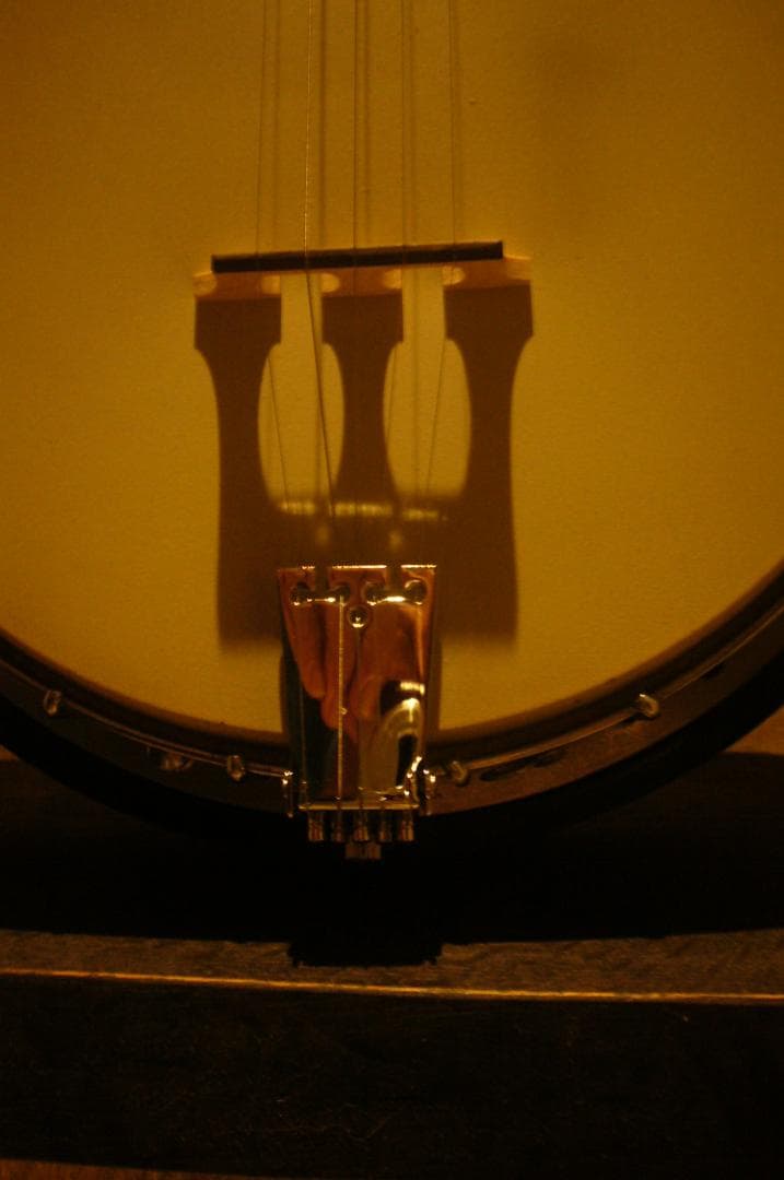 Ariana５弦バンジョー