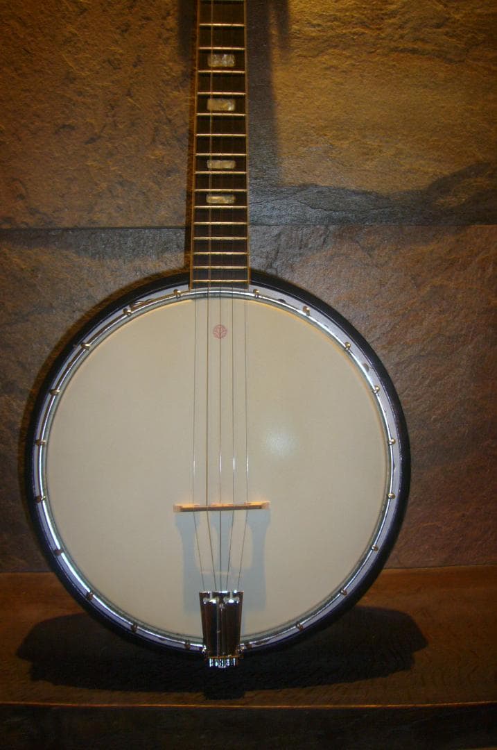 Ariana５弦バンジョー