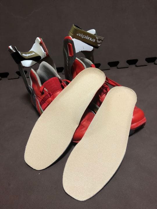 アルピナ　ローラースキー　クロスカントリースキー ブーツ　25.5cm