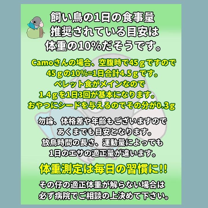 鳥専用自動給餌器（小粒用）