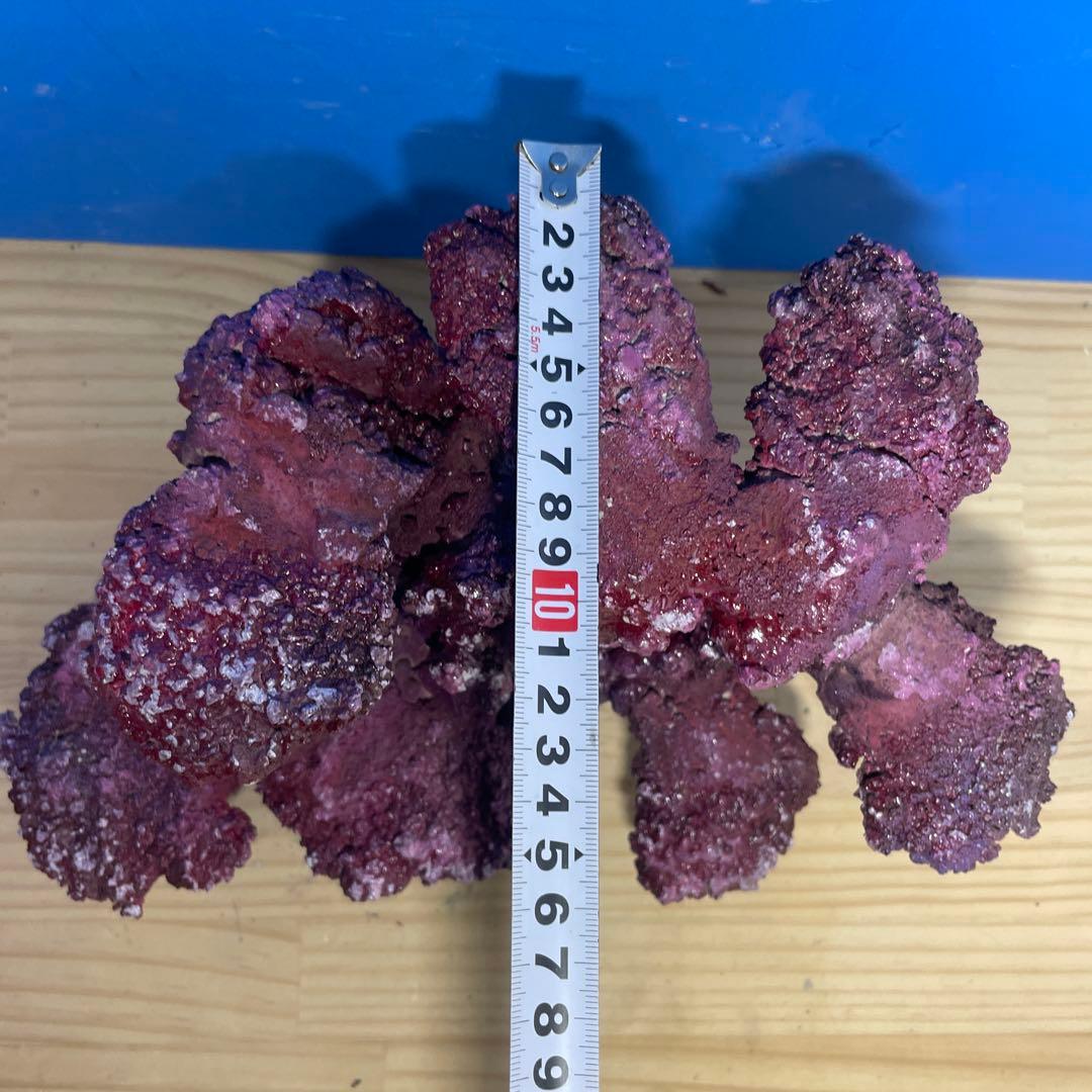 人工ライブロック　SHR06 アク抜き済み安心塗料使用