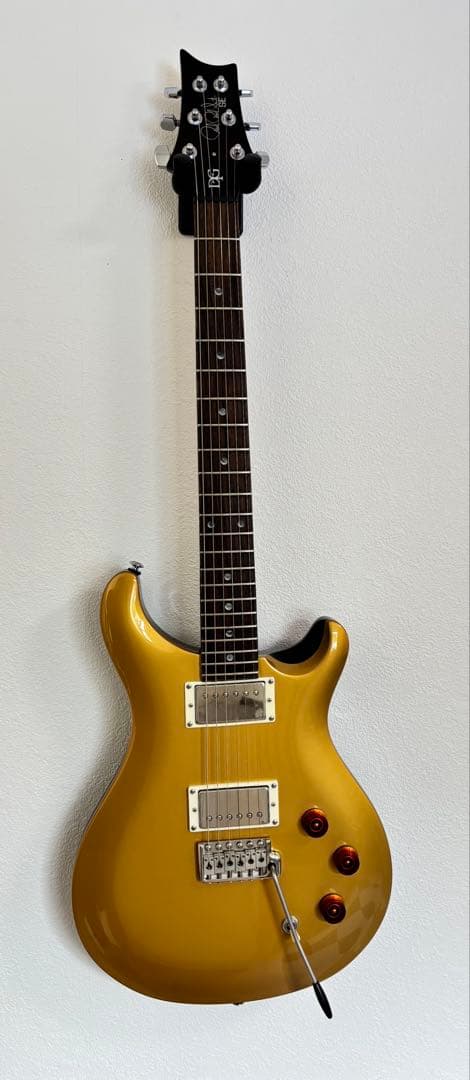ギター PRS SE DGT