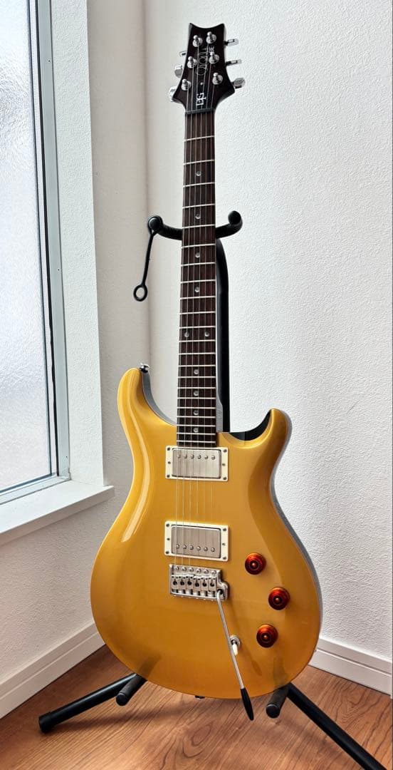 ギター PRS SE DGT