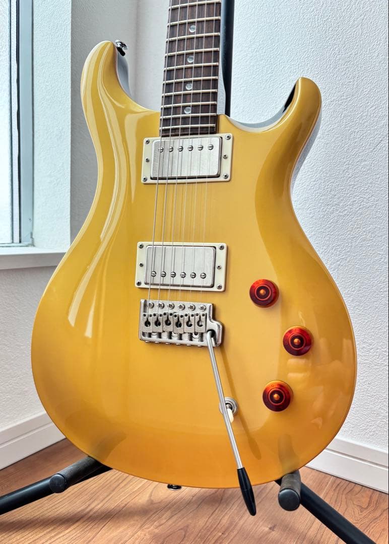 ギター PRS SE DGT