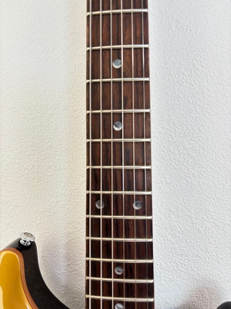 ギター PRS SE DGT