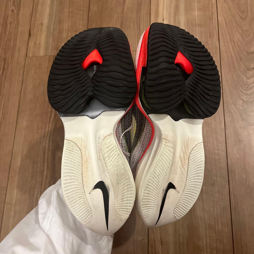 アルファーフライネクスト