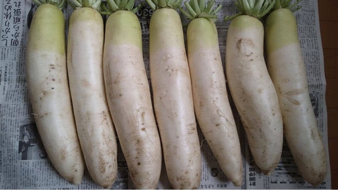 堀農園★野菜7品＆栽培期間中農薬不使用米5kgセット