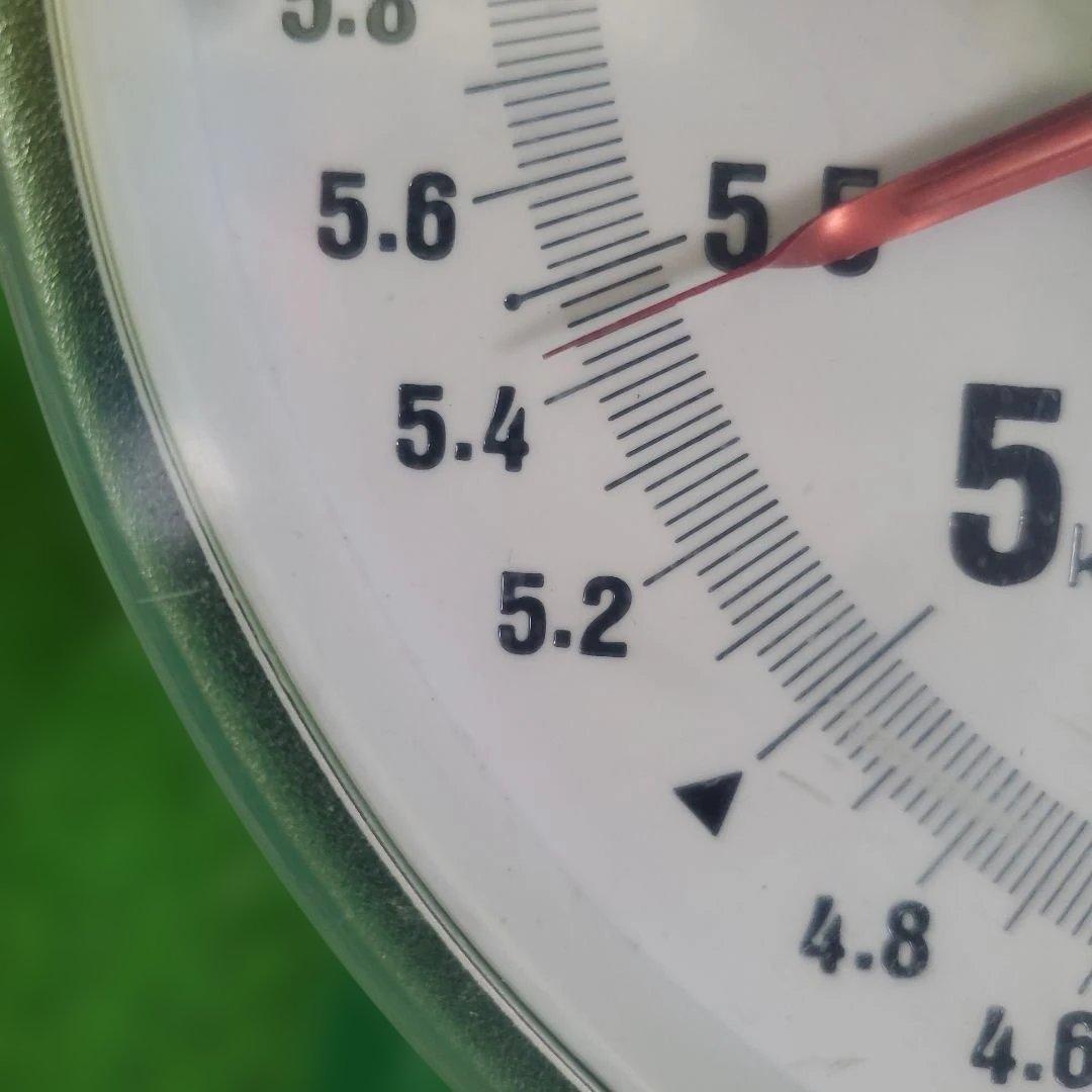 6️⃣ 山梨県産 シャインマスカット １０房入り 箱込み5.4キロ