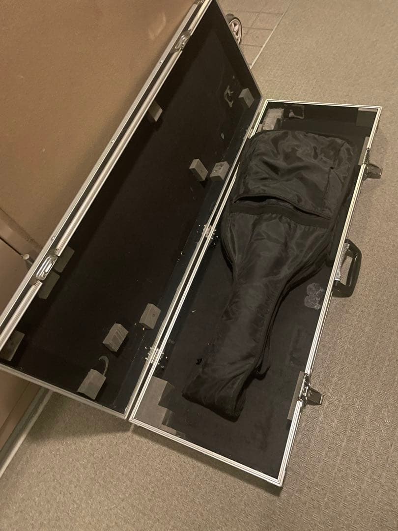 早い者勝ち FERNANDES mini TEJ