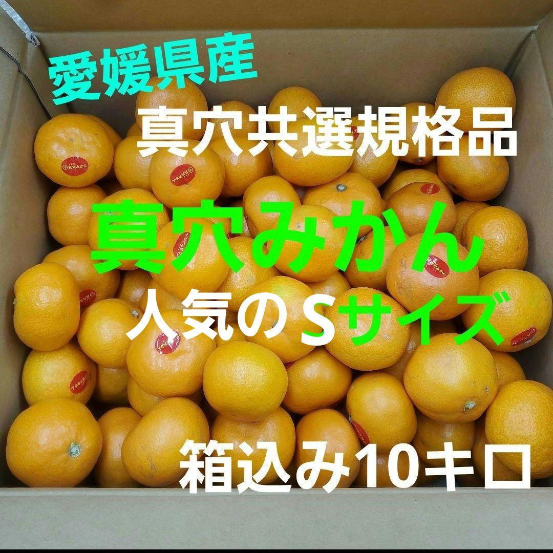 0️⃣0️⃣ 愛媛県産 真穴みかん Sサイズ 箱込み１０キロ④
