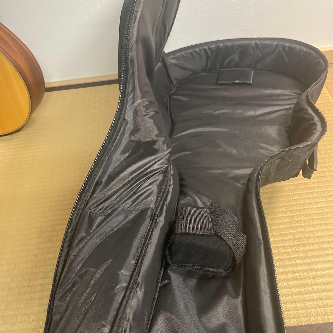 希少カワイイ❤️ ゼマイティス CAG-100HW-E アコギ　エレアコ　ハート