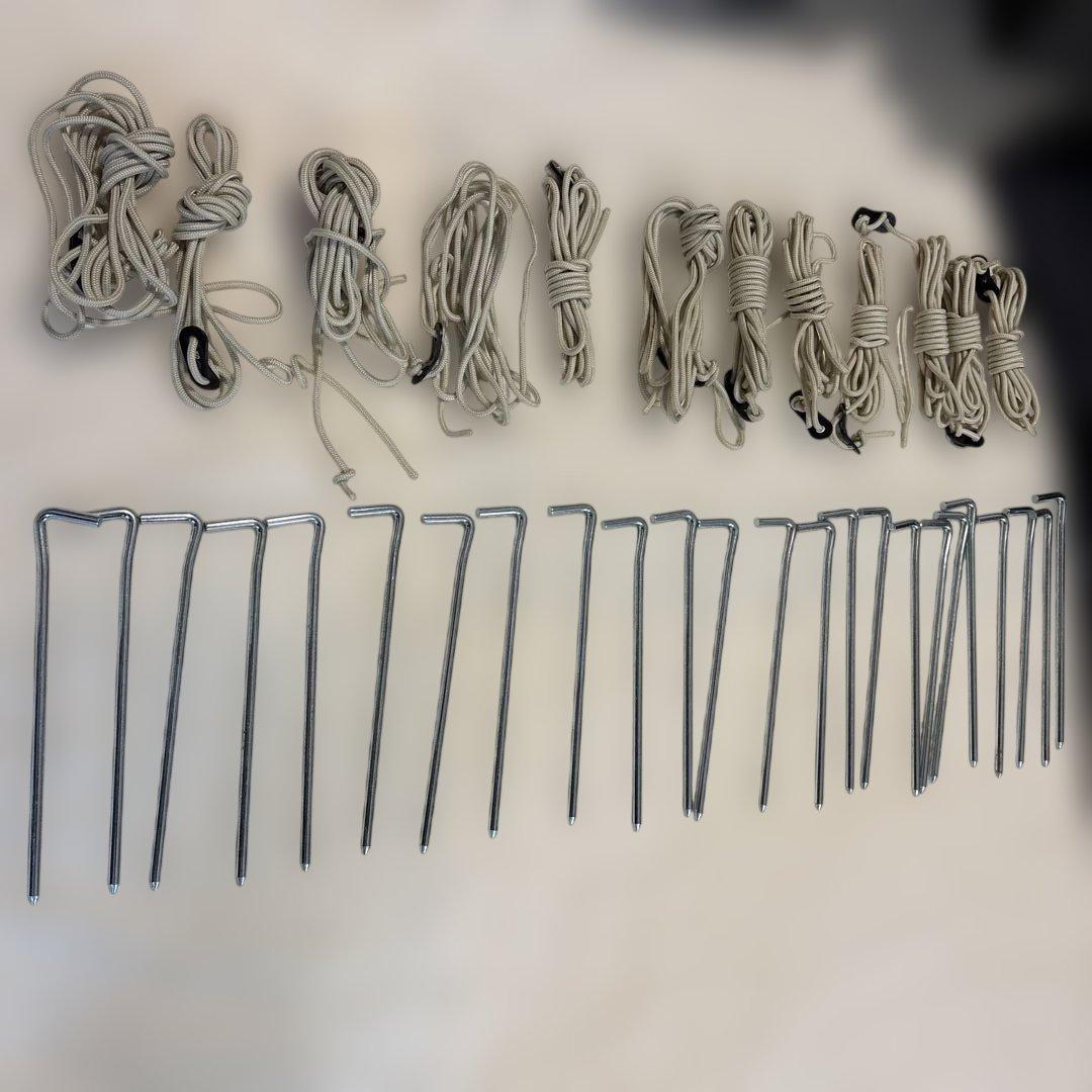 大阪直引き渡しサバティカル　アルニカ　サンドストーン