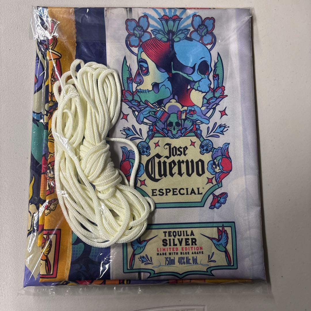 SKYY VODKA スカイウォッカ　ネオン　サインとクエルボグッズ