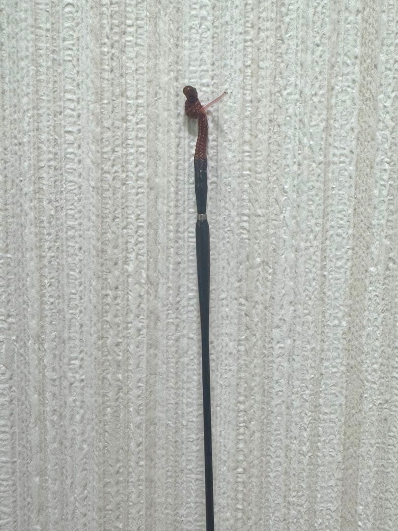 Daiwa ダイワ 二天粋 渡月10尺 ヘラ竿 へら釣り