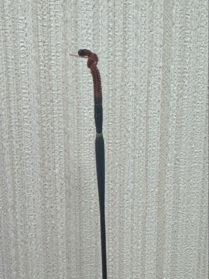 Daiwa ダイワ 二天粋 渡月10尺 ヘラ竿 へら釣り