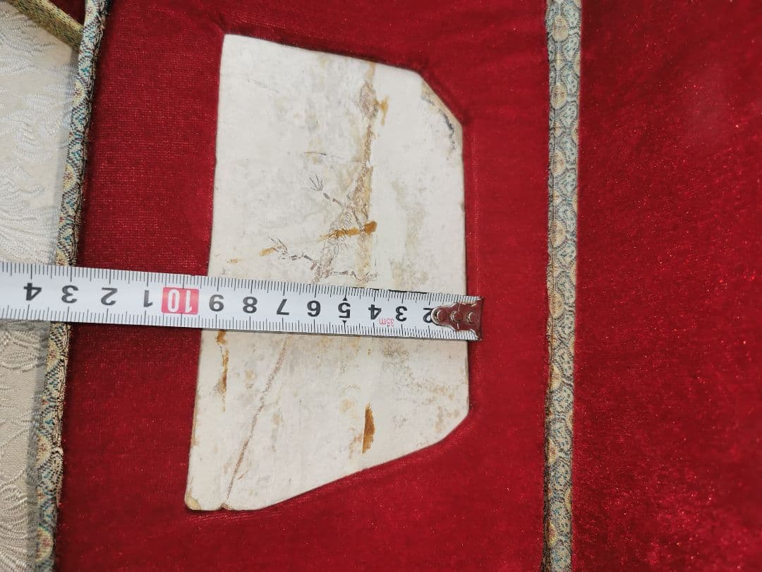 化石　ケイチョウサウルス、ハイファロサウルス　（ヒファロサウルス）3点セット