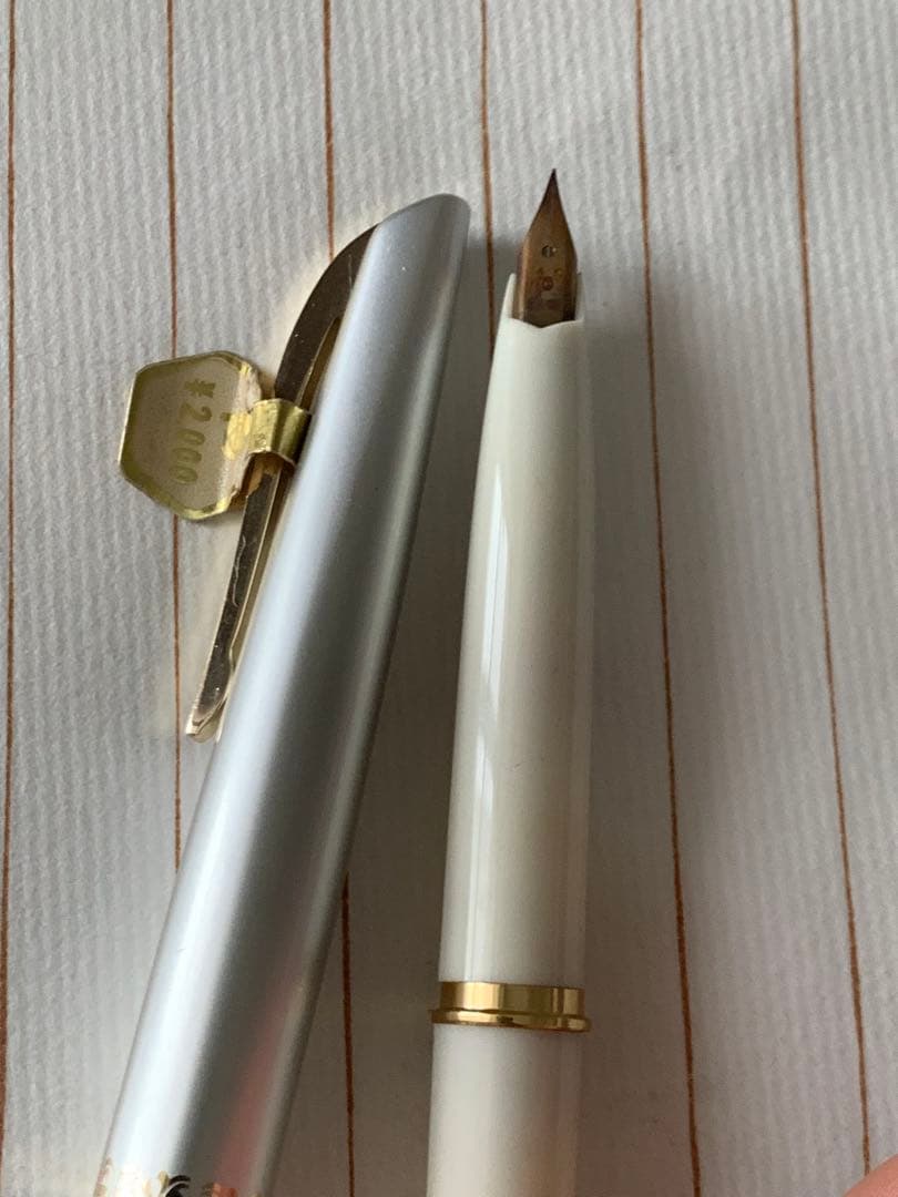 プラチナ 万年筆 14K 2本まとめ売り