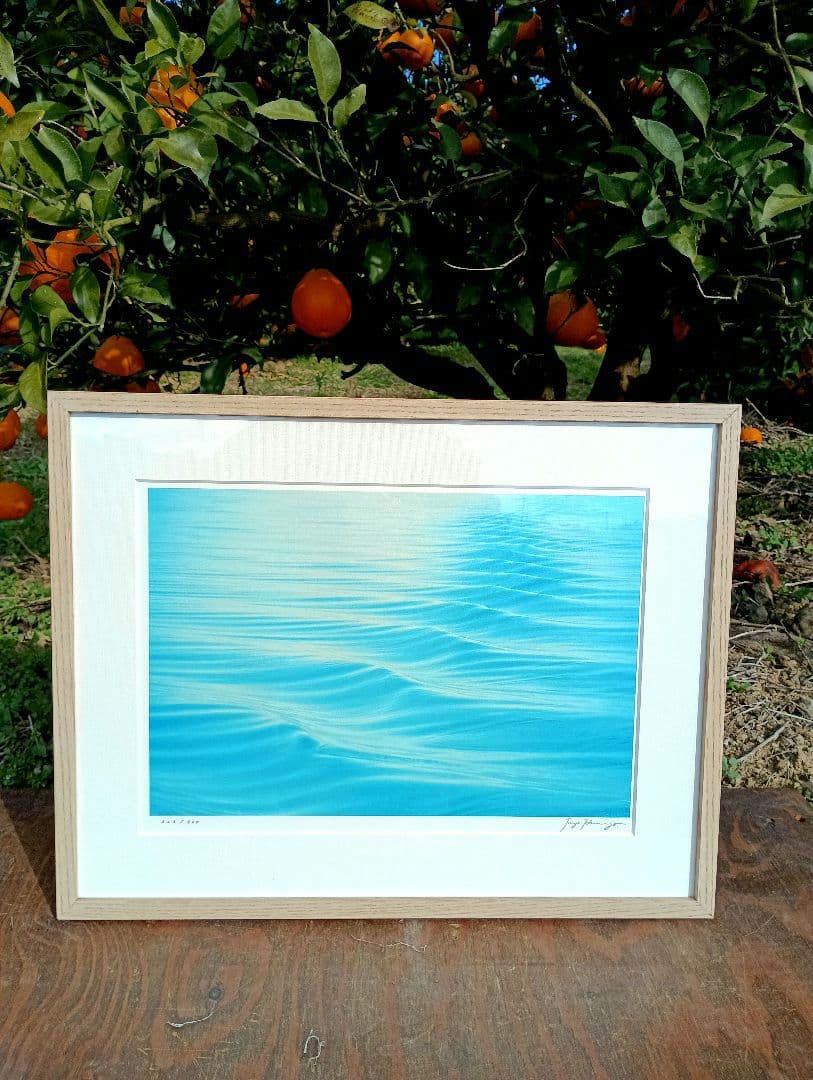 高砂淳二 ダイヤモンド・スクリーニング 限定　リミテッド　自筆サイン エンボス