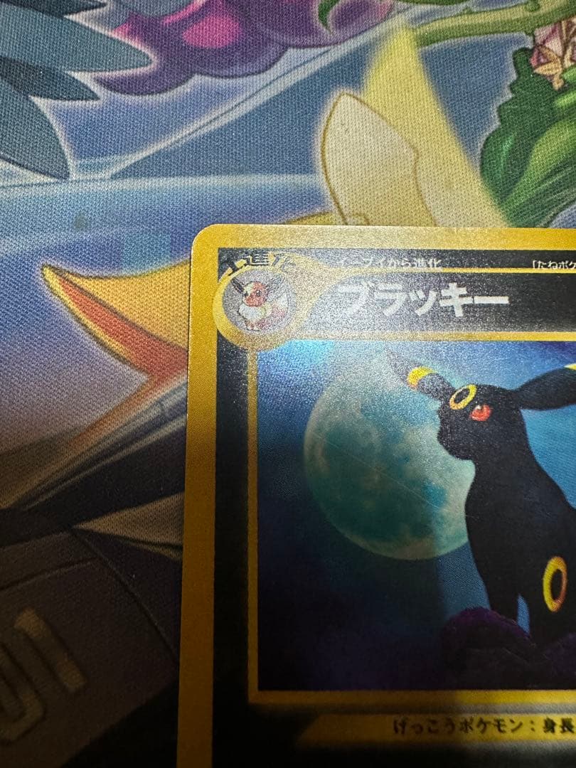 旧裏　ブラッキー　LV40 遺跡をこえて