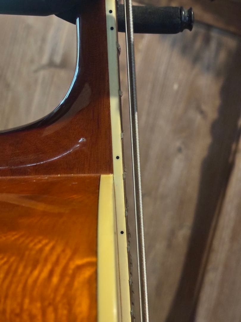 ZENN アコースティックベース ソフトケース付き