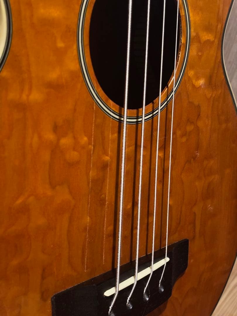 ZENN アコースティックベース ソフトケース付き