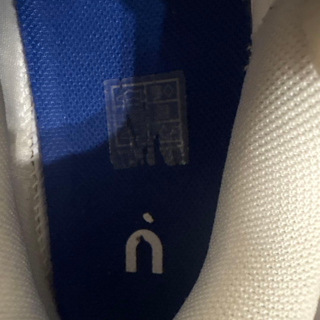 シューズ(男性用) on THE ROGER PRO2(27cm)