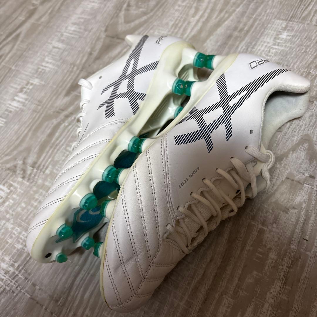 アシックス　DS LIGHT X-FLY PRO 25.0cm