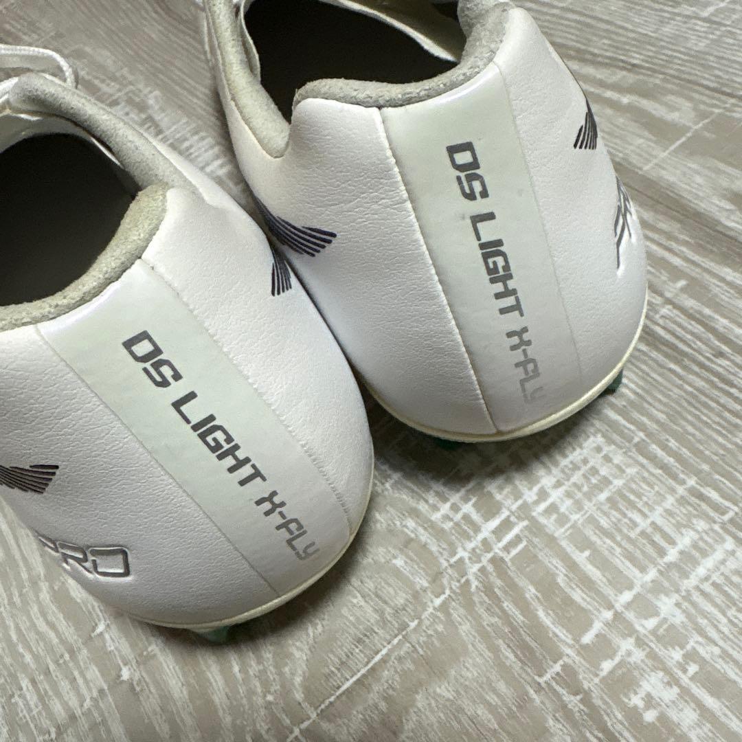 アシックス　DS LIGHT X-FLY PRO 25.0cm