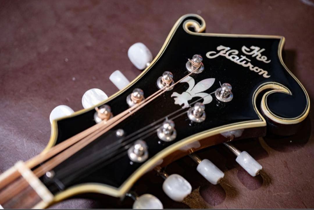 Epiphone　フラットマンドリン　Flatiron Festival F2