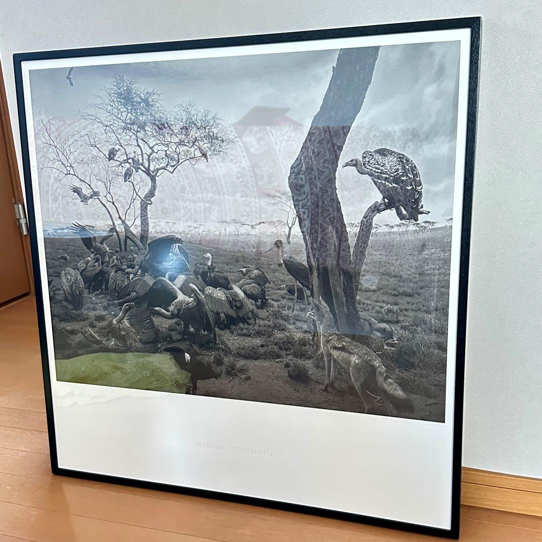 杉本博司ポスター　「ハイエナ、ジャッカル、コンドル」