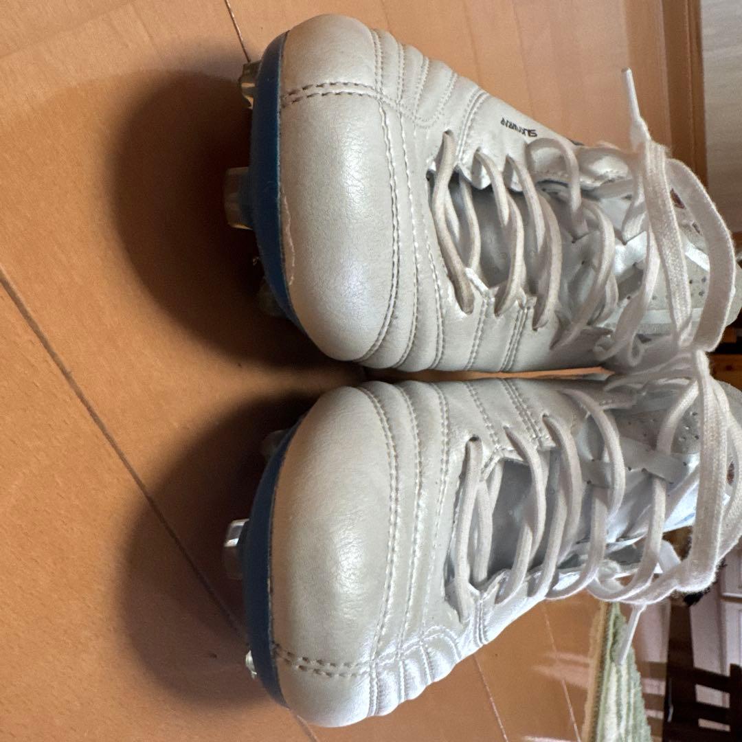 DSライト X-FLY PRO3 25cm