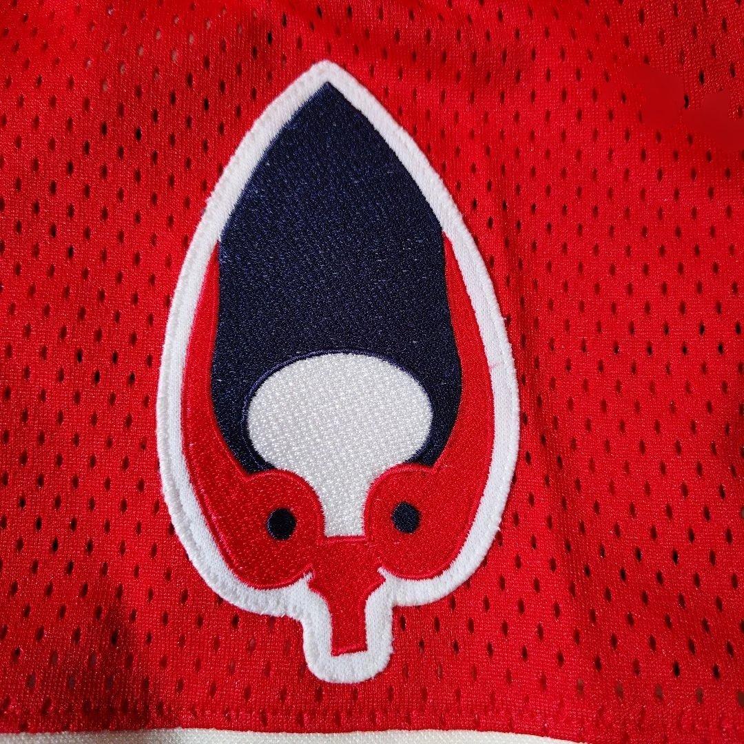 オリックスバファローズ　山﨑浩司選手　近鉄バファローズ復刻ユニフォーム上下セット