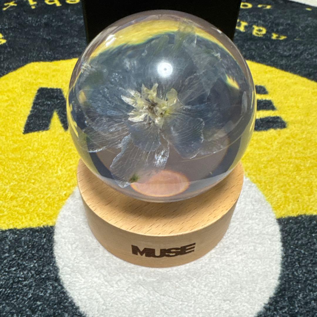 BTS ジミン MUSE ペーパーウェイト　PAPER WEIGHT