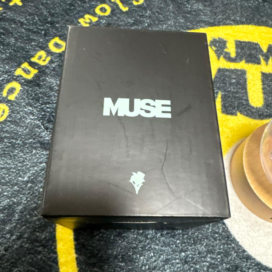 BTS ジミン MUSE ペーパーウェイト　PAPER WEIGHT