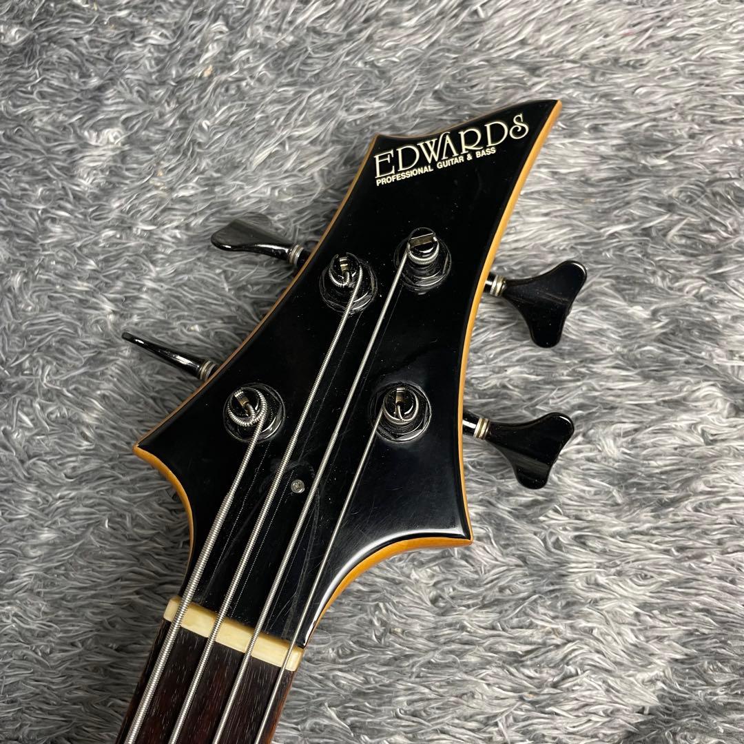 Edwards E-G-90B PENICILLIN GISHOモデル