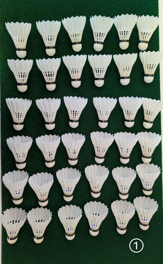 NEW OFFICIAL F4 10ダース