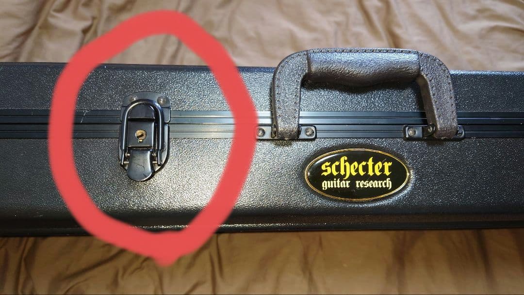 SCHECTER　DAMIEN PLATINUM-6FR-S