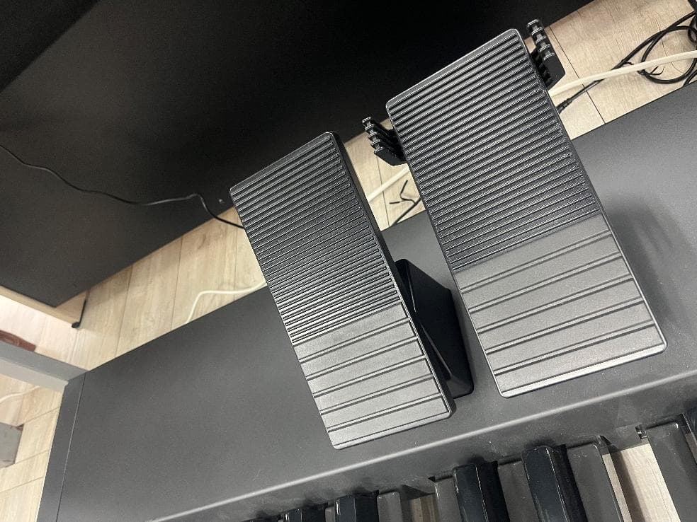 ★79518【EO】YAMAHA　ELS02C　16年製