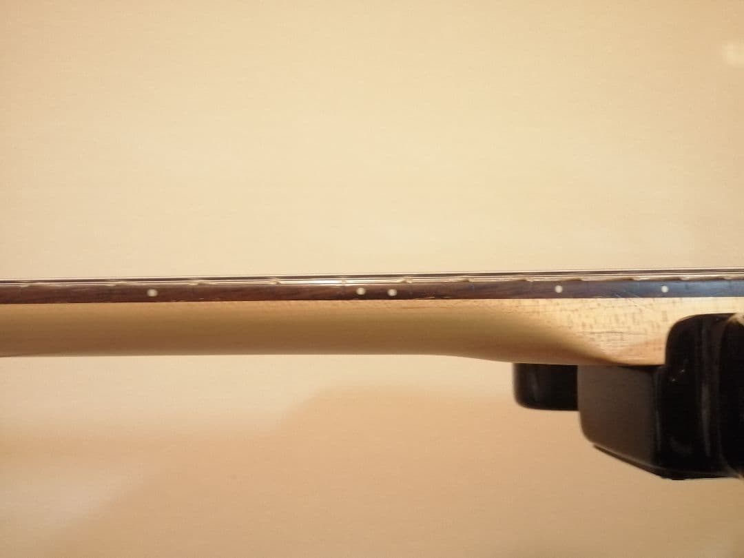 【生産終了品】Bacchus universe series テレキャスター