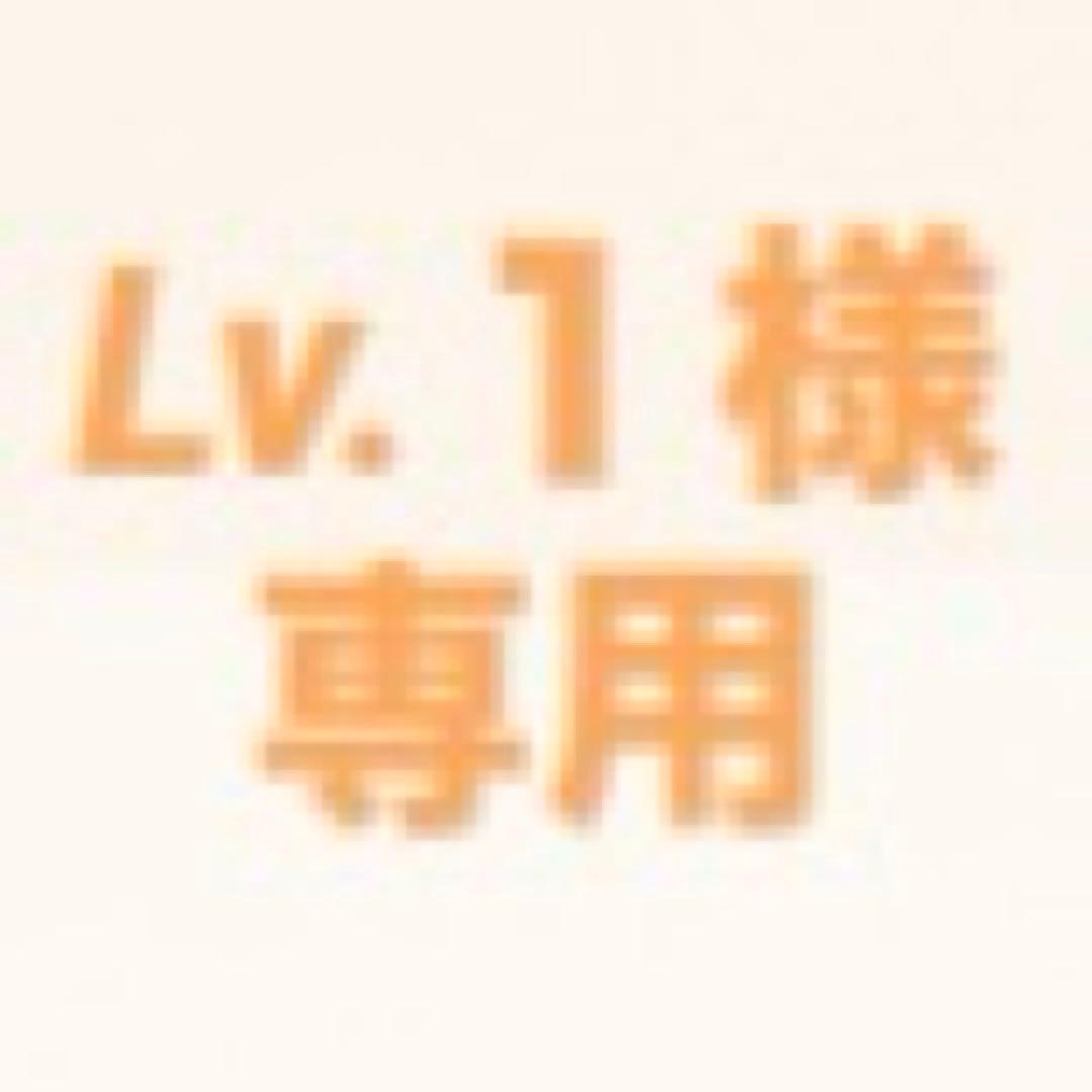 Lv.１