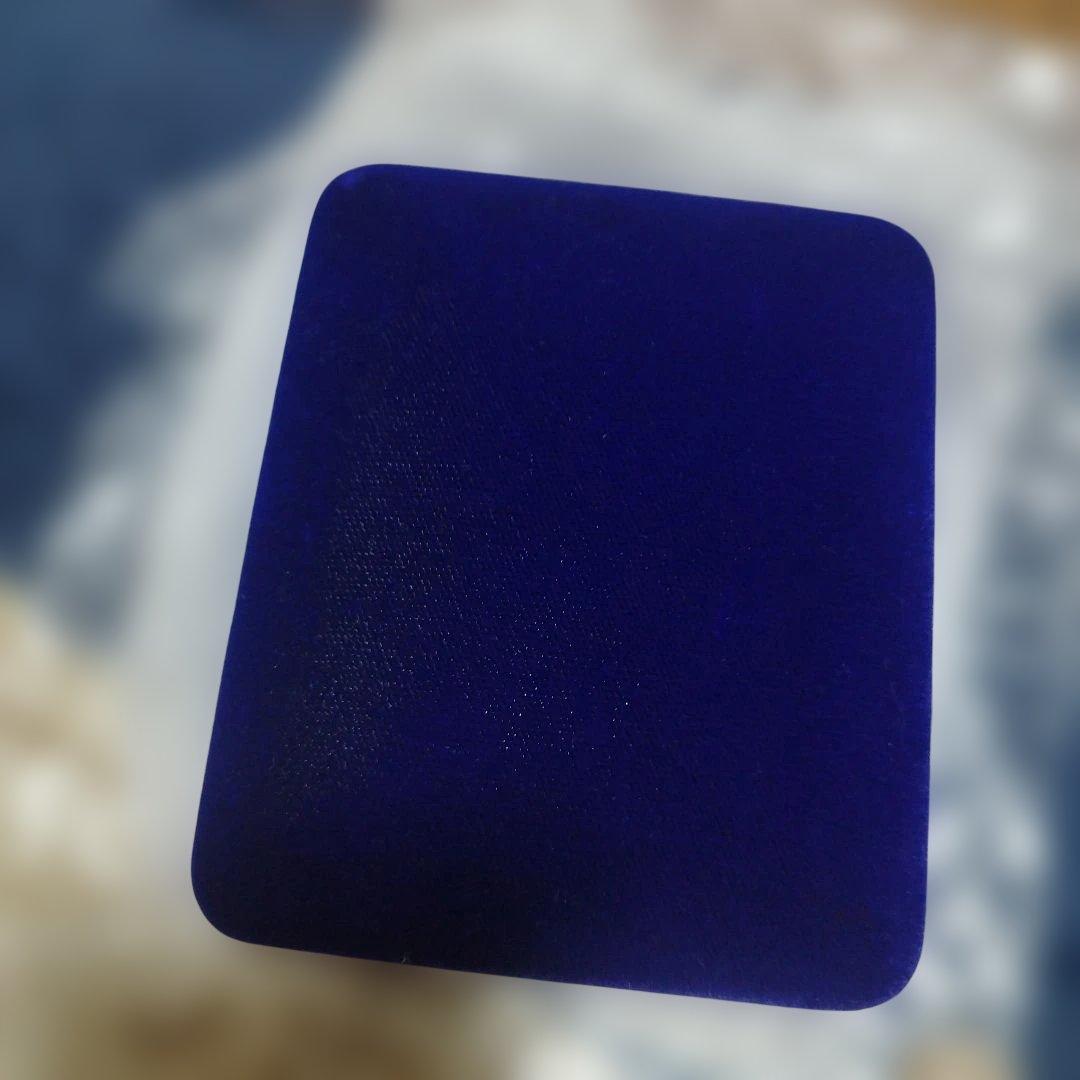 桜の通り抜け記念メダル　平成3年　激レア